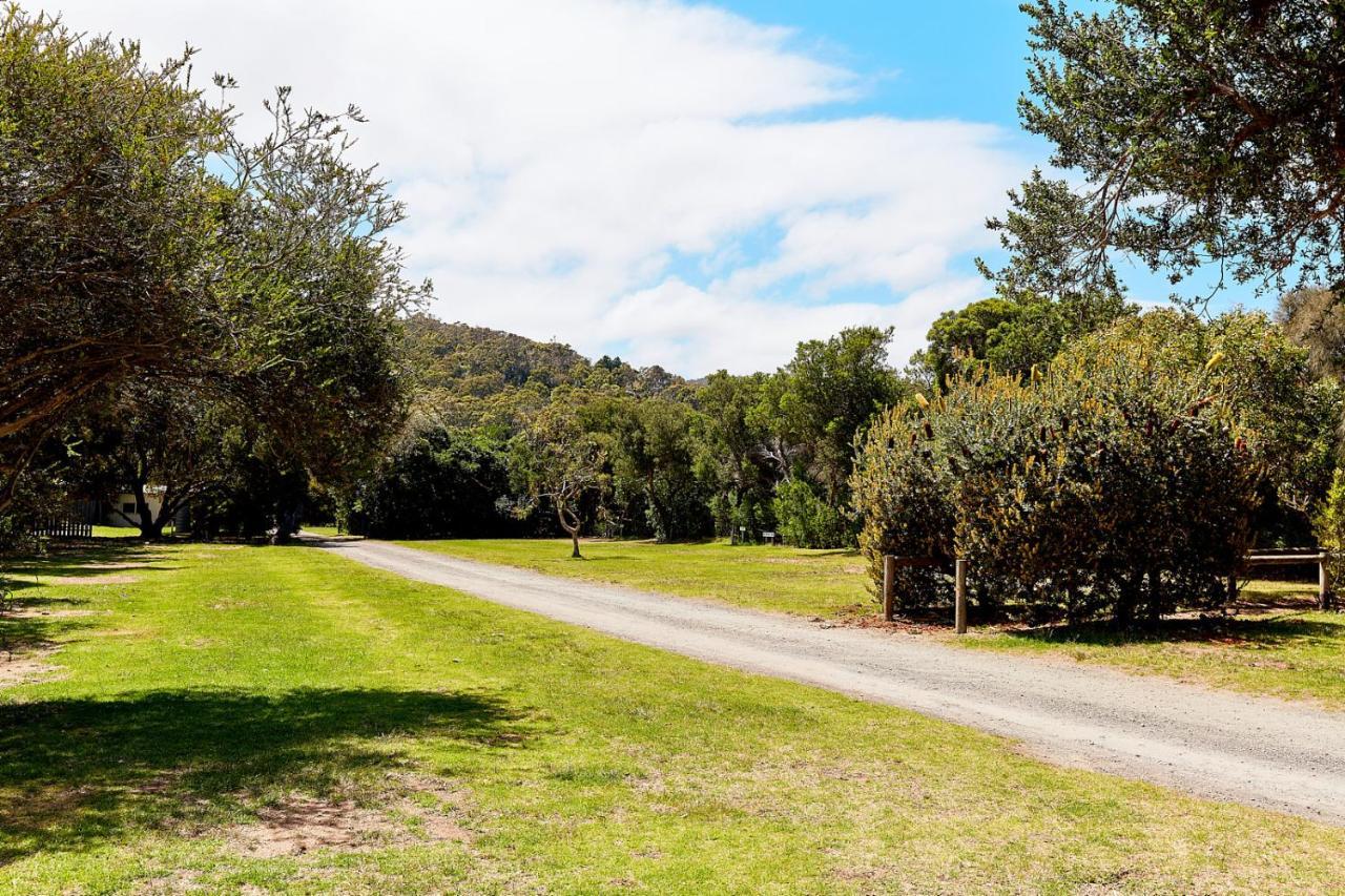 Kennett River Family Caravan Park Hotel Wye River Exterior photo